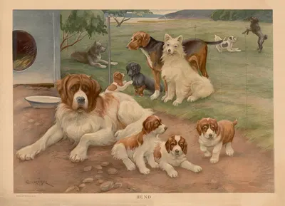 Dogs by Ernst Küsel, 1929 — digital art print download