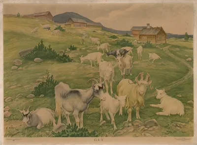 Goats by Ernst Küsel, 1920 — digital art print download