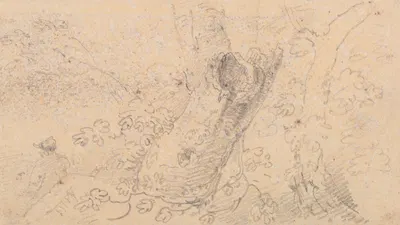 Sketch of a Hollow Tree Trunk by Томас Хастингс — digital art print download