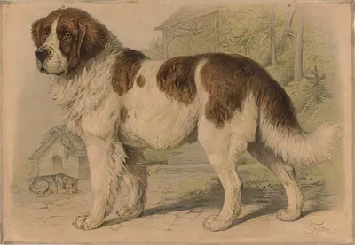 Dog by Friedrich Specht, 1882 — digital art print download