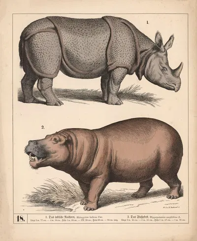 1. Das indische Nashorn. 2. Das Flusspferd by Генрих Лейтеман, 1882 — digital art print download