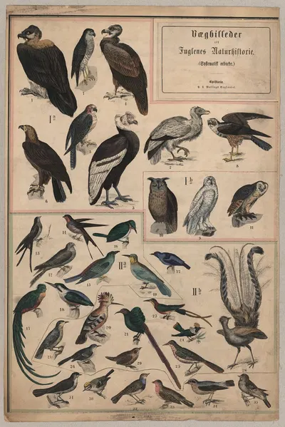 Birds I by P.T. Malling, 1890 — digital art print download