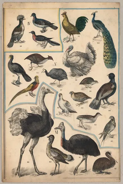 Birds III by P.T. Malling, 1890 — digital art print download