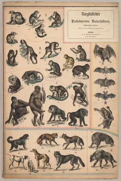 Monkeys, dogs by P.T. Malling, 1890 — digital art print download