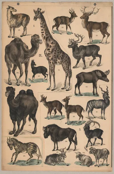 Ungulates (Hoofed Animals) by P.T. Malling, 1890 — digital art print download
