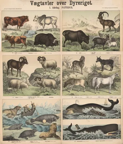 Pattedyr by P.T. Malling, 1879 — digital art print download