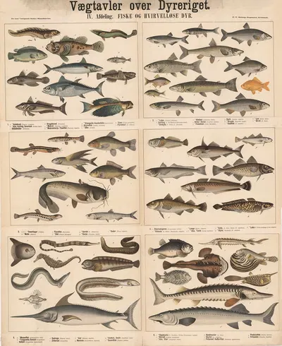 Fisk og hvirvelløse dyr by P.T. Malling, 1879 — digital art print download
