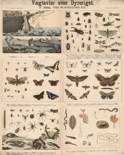 Fisk og hvirvelløse dyr by P.T. Malling, 1879 — digital art print download