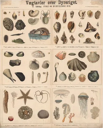 Fisk og hvirvelløse dyr by P.T. Malling, 1879 — digital art print download