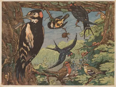 Den tømmermand, Hr. spætte… by Пуль Кристиан Йоргенсен, 1920 — digital art print download