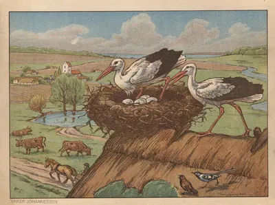 Stork, stork langeben… æg i reden by Пуль Кристиан Йоргенсен, 1925 — digital art print download