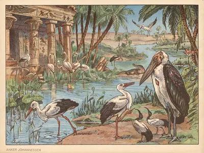 Stork, stork langeben… gik du i Nilstrømmens enge by Пуль Кристиан Йоргенсен, 1925 — digital art print download