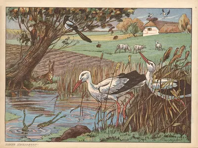Stork, stork langeben… by Пуль Кристиан Йоргенсен, 1925 — digital art print download