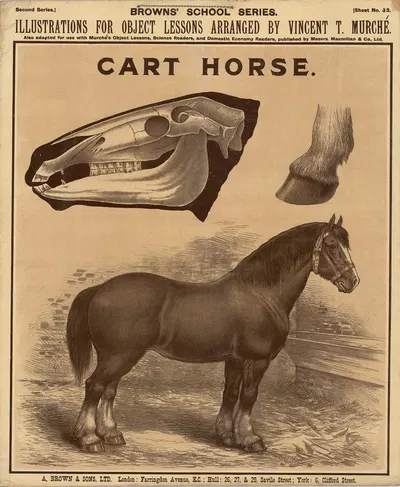Cart Horse by Vincent T. Murché, 1905 — digital art print download