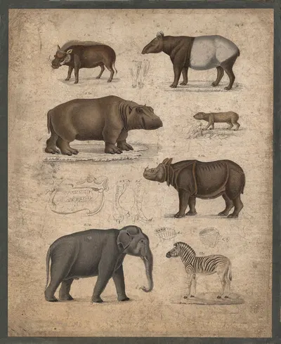 Wild boar, tapir, hippopotamus, wild dog, rhinoceros, elephant, and zebra by B. Wienker, 1850 — digital art print download