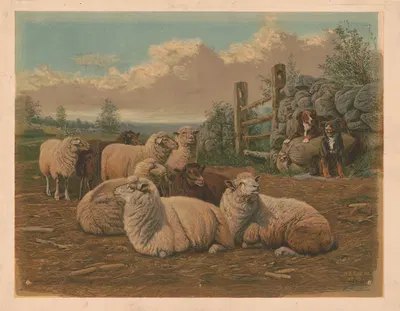 The faithful shepherds by Артур Фицвильям Тейт, 1902 — digital art print download