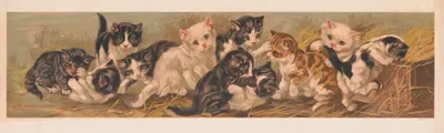 Yard of cats by Грей Литхо. Ко, 1895 — digital art print download