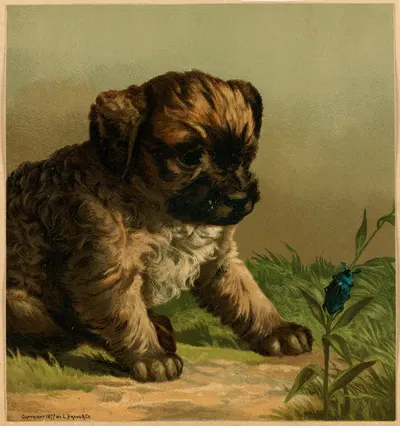 The young naturalist by Гарри Бирд, 1877 — digital art print download