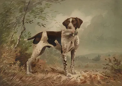Dog by Герман Бенке, 1879 — digital art print download