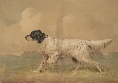 Hunting dog by Герман Бенке — digital art print download