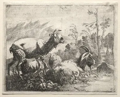 Goats by Иоганн Генрих Роос, 1665 — digital art print download