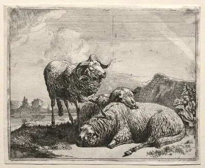 Ram and Two Sheep by Иоганн Генрих Роос, 1665 — digital art print download