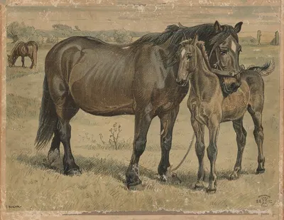 Horse by Расмус Кристиансен, 1882 — digital art print download