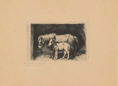 Klacz ze źrebakiem w stajni by Stanisław Karniewski, 1936 — digital art print download