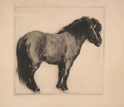 Koń by Stanisław Karniewski, 1937 — digital art print download