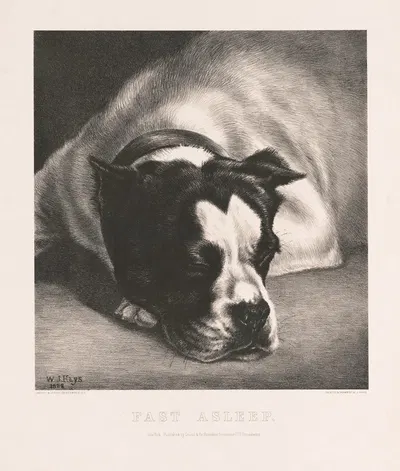 Fast asleep by В. Эндикотт и Ко. — digital art print download