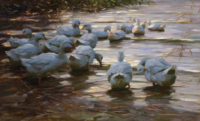 Ducks in a Pond by Александр Кёстер — digital art print download