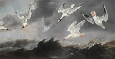 A flock of terns and seagulls above stormy seas by Paul de Vos — digital art print download