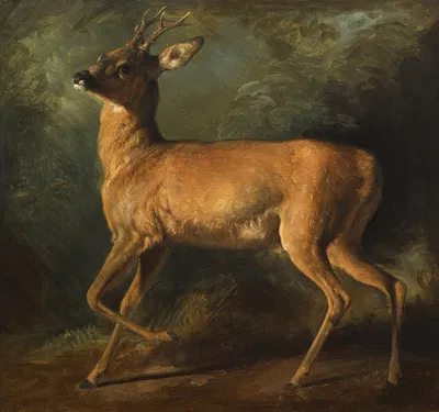 A roebuck by Раден Салех — digital art print download