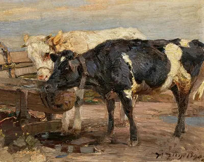 Cows at the Trough by Генрих фон Цюгель, 1903 — digital art print download