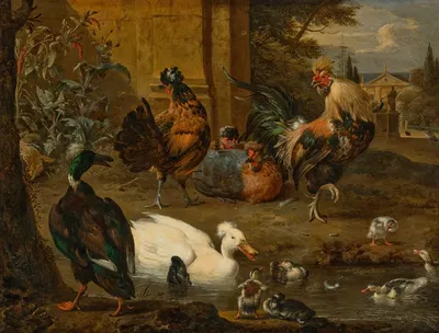 A rooster, hens, ducks and ducklings in a landscape, a house and gardens with peacocks beyond by Мельхиор д'Ондекайтер —…