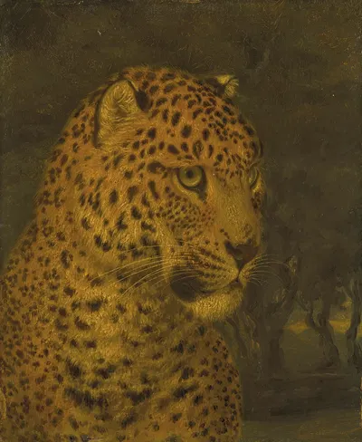 Head of a leopard by William Huggins — digital art print download