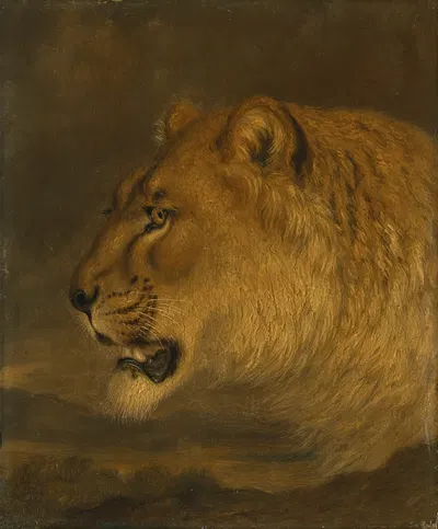 Head of a lion by William Huggins — digital art print download