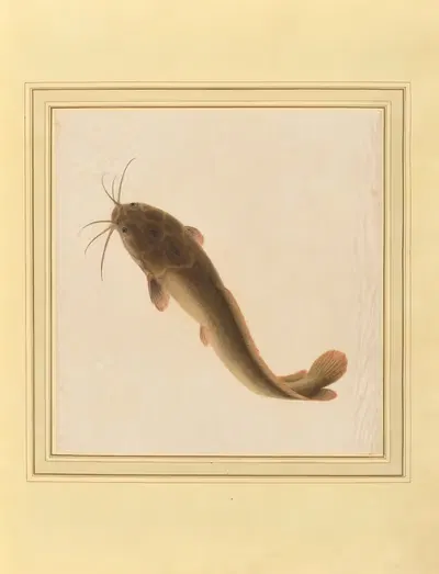 Album of fish, plants, and insects Pl.02 by Chinese School, 1772 — digital art print download
