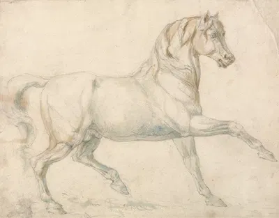 An Arabian Stallion Walking to Right by Уильям Сорей Гилпин — digital art print download