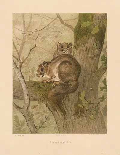 Siebenschläfer by Карл Фридрих Дейкер, 1875 — digital art print download