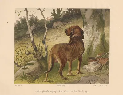 An die Jagdtasche angelegter Schweifshund auf dem Pürschgang by Carl Friedrich Deiker, 1875 — digital art print download