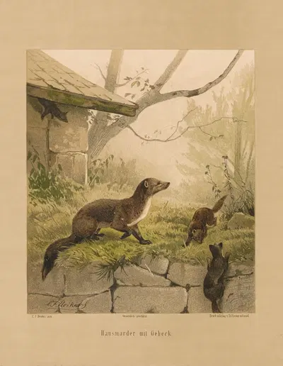 Hausmarder mit Geheck by Карл Фридрих Дейкер, 1875 — digital art print download