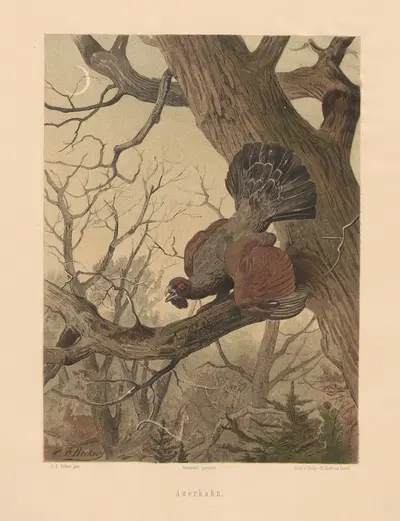 Auerhahn by Карл Фридрих Дейкер, 1875 — digital art print download