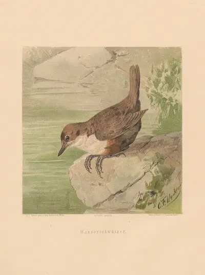 Wasserschwätzer by Карл Фридрих Дейкер, 1875 — digital art print download