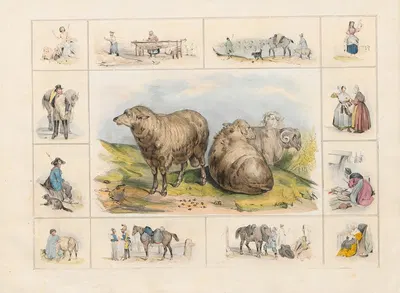 The Sheep by Ch. Hucklenbroich, 1842 — digital art print download