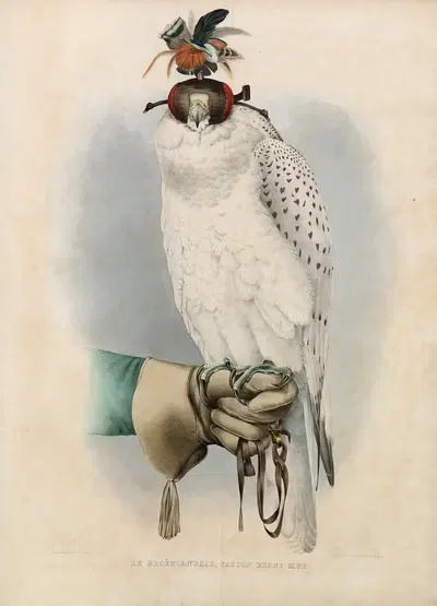 Le Groënlandais, faucon blanc mué by Joseph Wolf, 1848-1853 — digital art print download