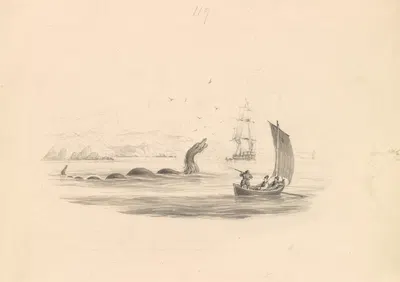 The Great Sea Serpent by James Stewart — digital art print download