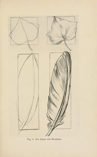 Drawing for beginners Pl.02 by Dorothy Furniss — digital art print download