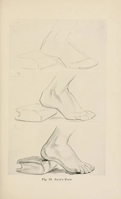 Drawing for beginners Pl.08 by Dorothy Furniss — digital art print download