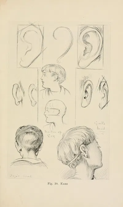 Drawing for beginners Pl.12 by Dorothy Furniss — digital art print download